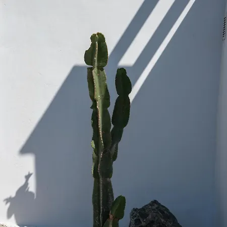 Aegean Whisper Koumelas Mamádhos